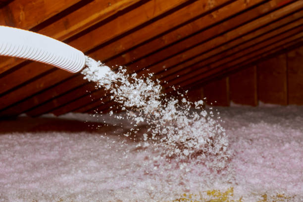 Types of Insulation We Offer in Toccoa, GA